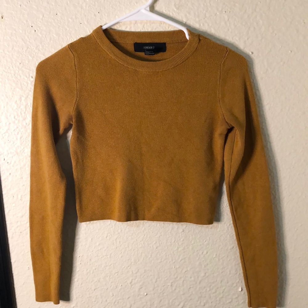 Long sleeve crop top